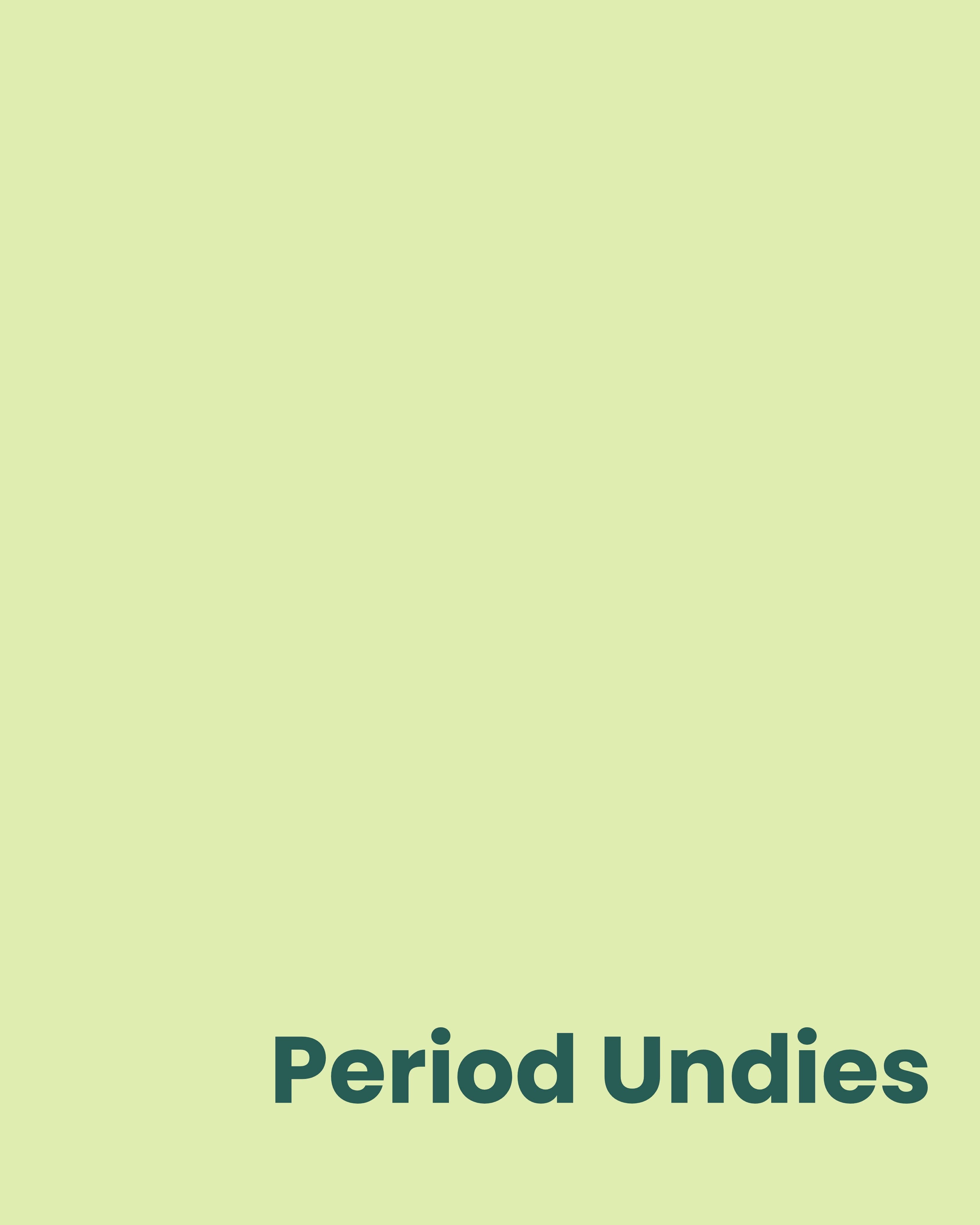 Period Underwear