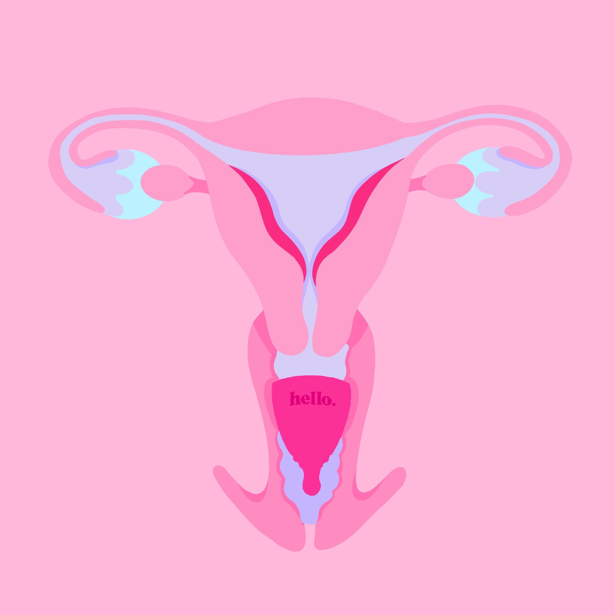 Hello | Average Cervix Menstrual Cup